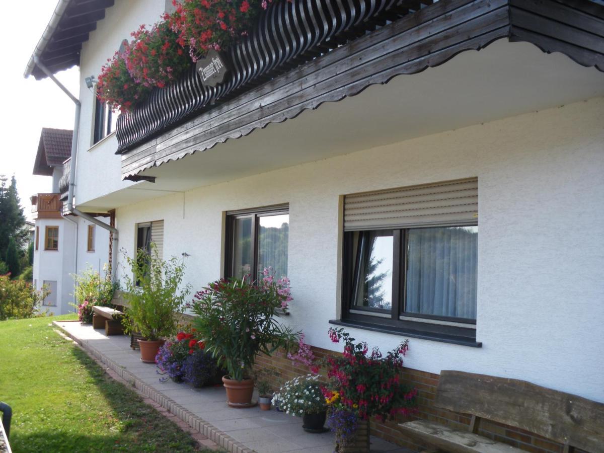 Pension Haus Ludwig Schotten Eksteriør billede