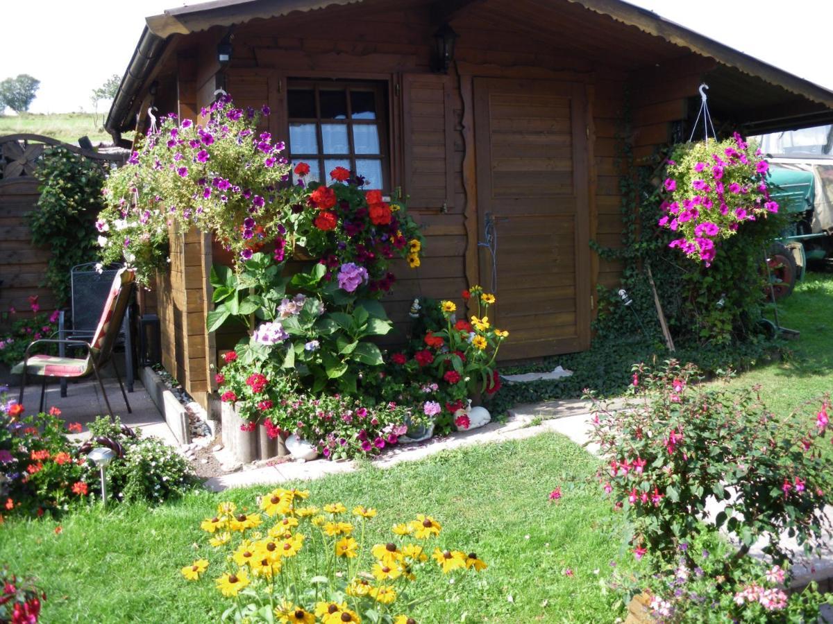 Pension Haus Ludwig Schotten Eksteriør billede